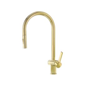 Just Taps Brushed Brass Single Lever Mono Sink Mixer With Swivel Spout & PULL OUT