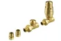 Tissino Marcello Straight Valves including Thermostatic Head - Brushed Brass