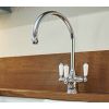 Perrin And Rowe Phoenician Kitchen Sink Mixer Tap With Filtration Pewter