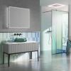 HIB Isoe Bathroom LED Cabinets 50cm x 70cm x 12.2cm
