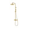 Flova Brushed Gold exposed thermostatic shower column with GoClick flow control