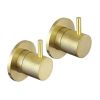 Just Taps Vos Brushed Brass wall valves