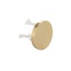 Crosswater MPRO Overflow Cover - Brushed Brass