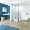 Tissino Rivelo Pivot Shower Doors