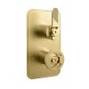 Crosswater Union Brushed Brass Thermostatic Lever Shower Valve - Single Outlet