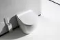 Crosswater Svelte Back to Wall Rimless Toilet & Seat