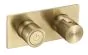 Just Taps Thermostatic concealed push button 2 outlet shower valve Brushed Brass