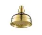 Just Taps Grosvenor Cross Antique Brass Edition Victorian shower head, 125mm